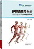 护理应用解剖学